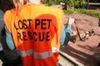 Lost Pet Rescue