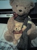 teddy bear ^^