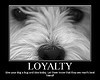 Loyalty!!