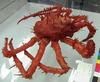 odd Crab