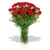 24 Red Roses