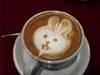 Bunny coffee or hot coco