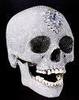 A diamond encrusted skull