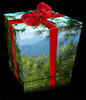 green gift