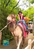 a camel ride with eRiN!