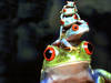 Frog &quot;totem pole&quot;