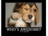 your awesome!