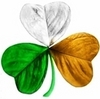 Irish and Proud