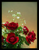 A Bouquet of Red Roses