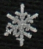 a snowflake I caught for you!
