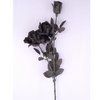 Bouquet of Black Roses
