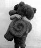 Teddy Hug