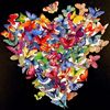 butterflys and heart