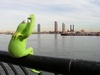 kermit ''i m waiting u''