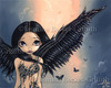 black winged fairy