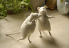 Trained Mice