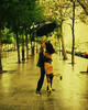 A kiss in the rain