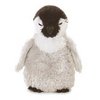 1 Penguin, Slightly fluffy.