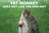Fat Monkey