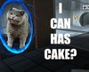 I can haz cake?