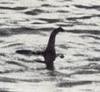 Loch ness monster