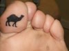 a camel toe