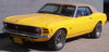 302 Mustang Custom