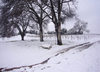 a winter promenade