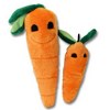 Carrot (doggy) Toy.