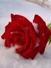 for u gorgeous :)