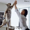 High Five !!!