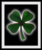 given a four leaf Clover 