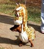 Giraffe dog gonna eats you!