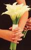 A Bouquet Calla Lilies for U!