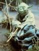 Yoda's guidance