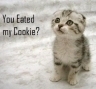 ..you eated my cookie? =[