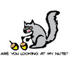 Are you looking at my nuts?