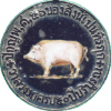 Rare Pig Coin
