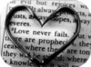 .Love.Never.Fail s.