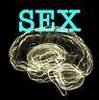 sex on the brain