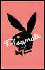 A Playboy Playmate 