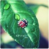☆some luck for ur day☆