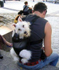 Doggie BackPack