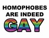 homophobes are GAY :D