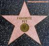 favorite pet Hollywood star