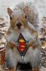 SuperSquirrel!