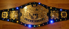 Glow-In-The-Dark WWE Title