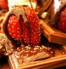 chocolatey sweetness