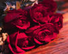Valentine's roses