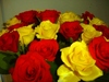 Roses for you